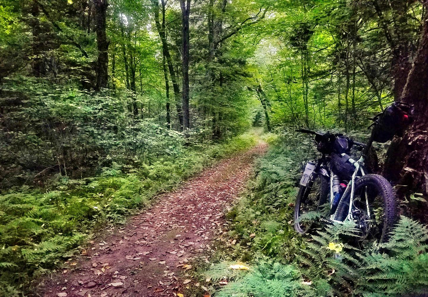 Leaving the Meacham Lake Campground heading into Debar Mountain Wild Forest. In my opinion this was some of the nicest backwoods trail riding on the whole route.