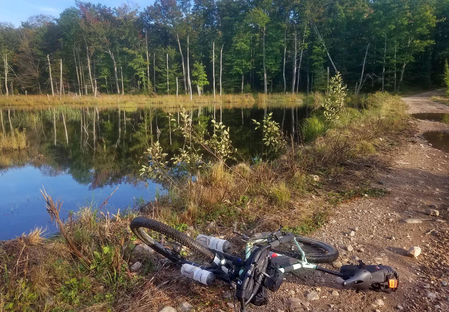 A beaver pond somewhere south of Hopkinton.