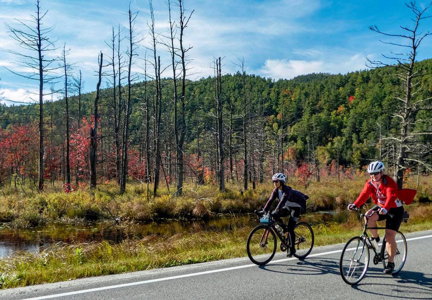 Plenty of leaf peeping was had throughout the route.