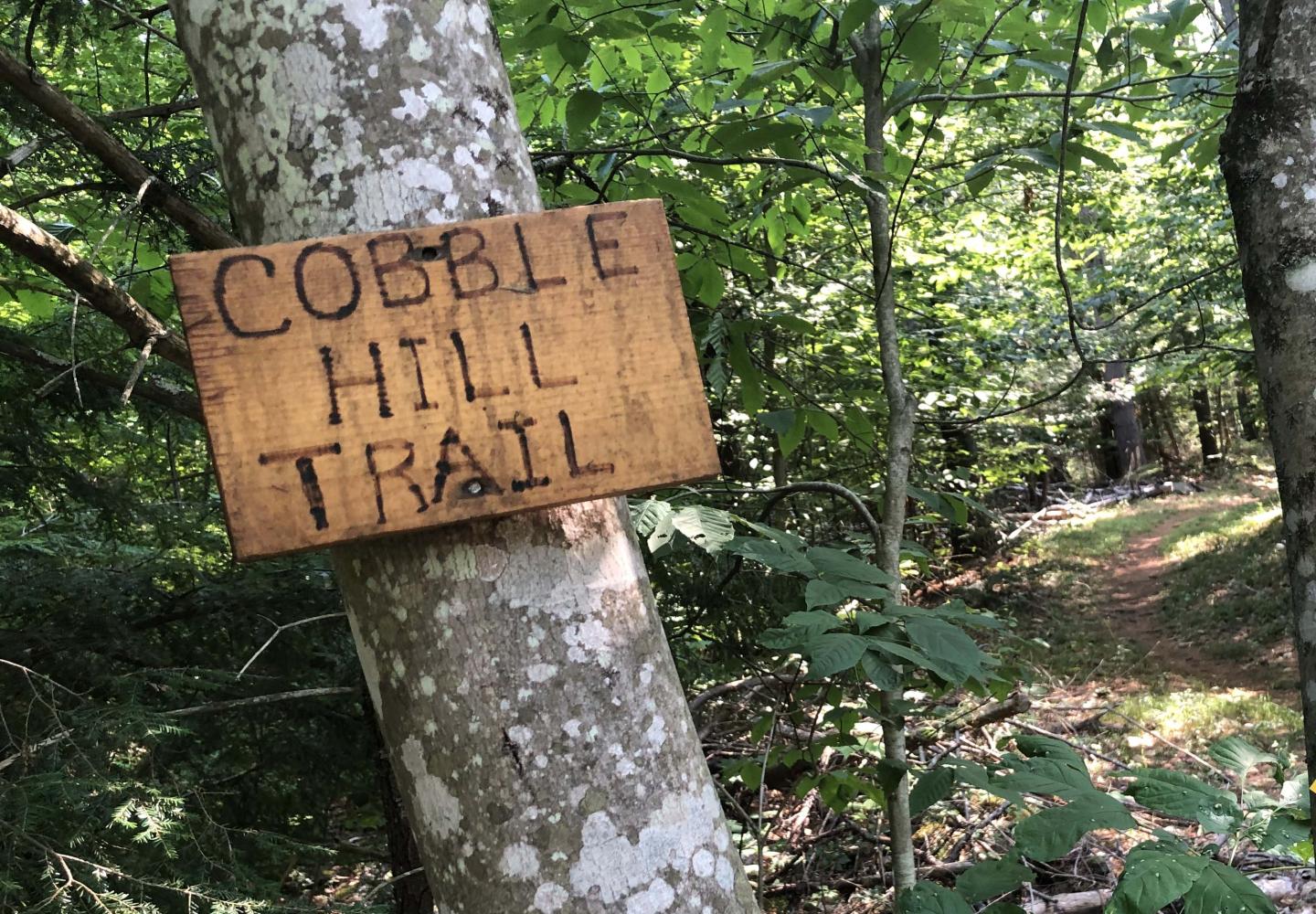 The intermediate Cobble Hill Trail is part of a nearly two-mile loop in the bike-trail network. 