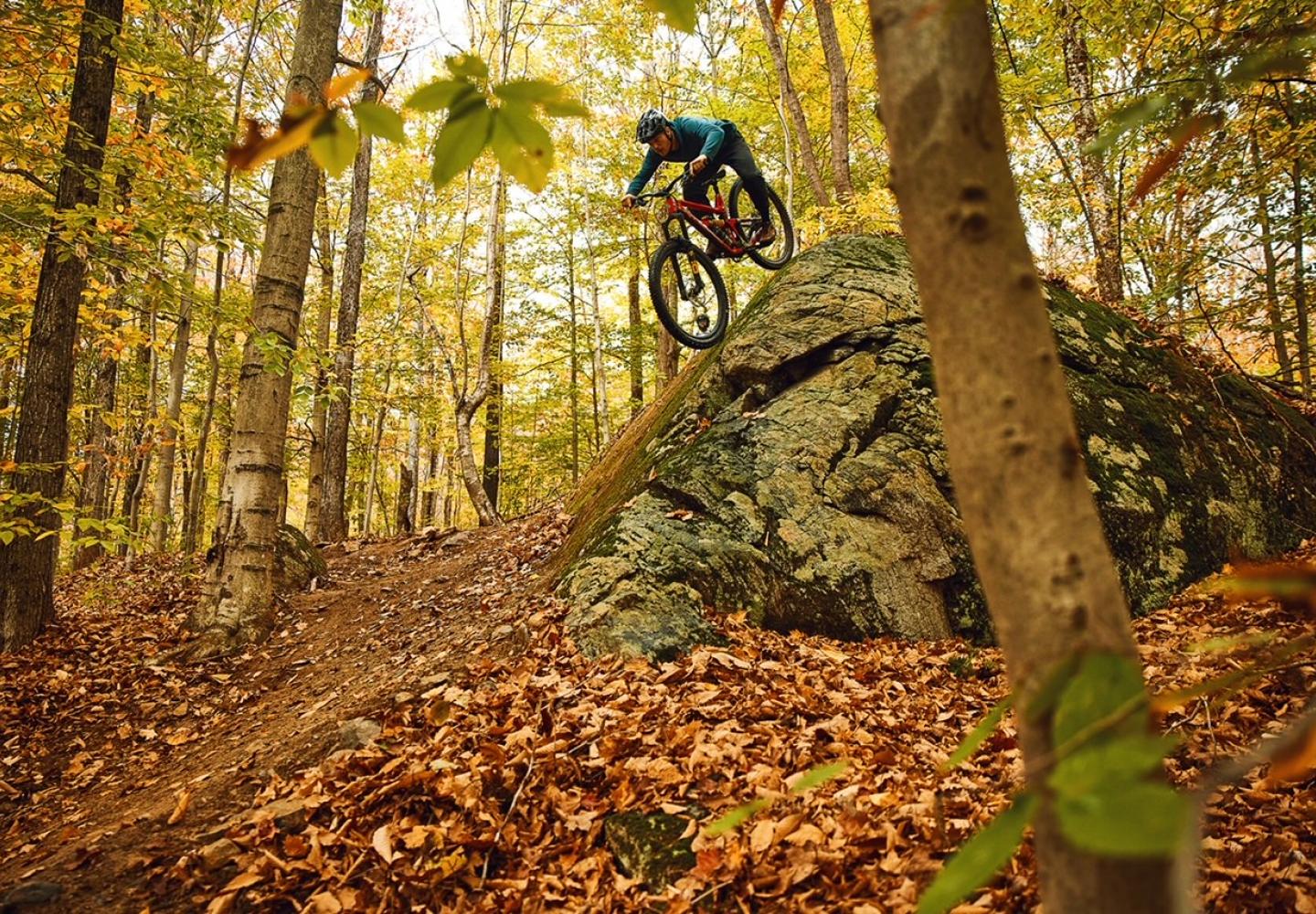 A rider rolls a large rock at the Wheelerville trail network.