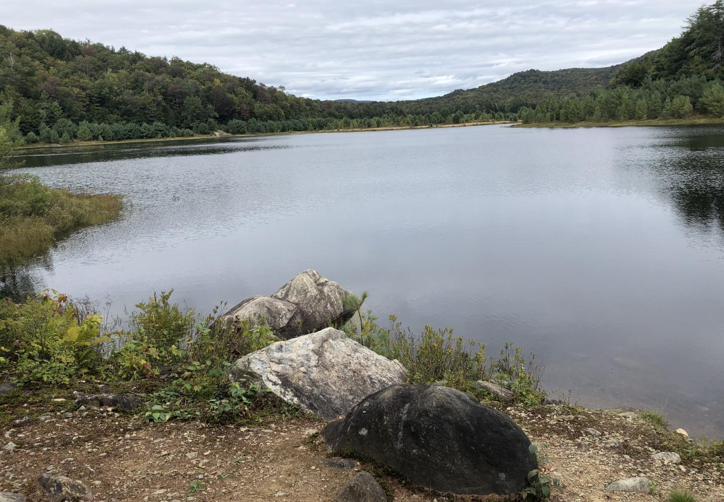 The view of Irving Pond at Wheelerville