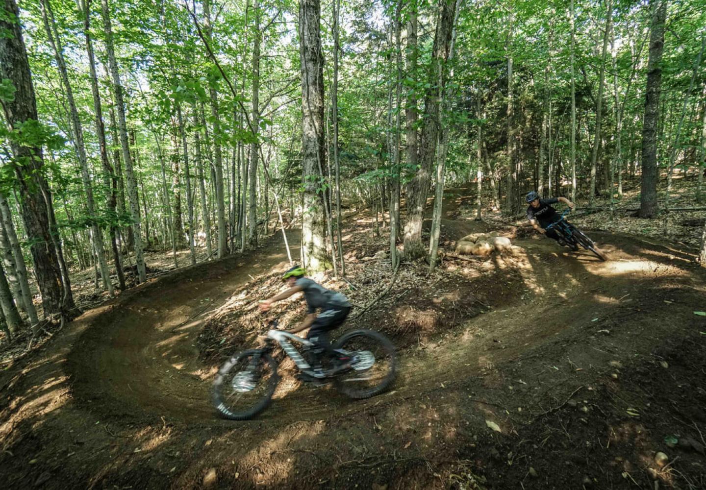 Adirondack Foothills Trails Alliance