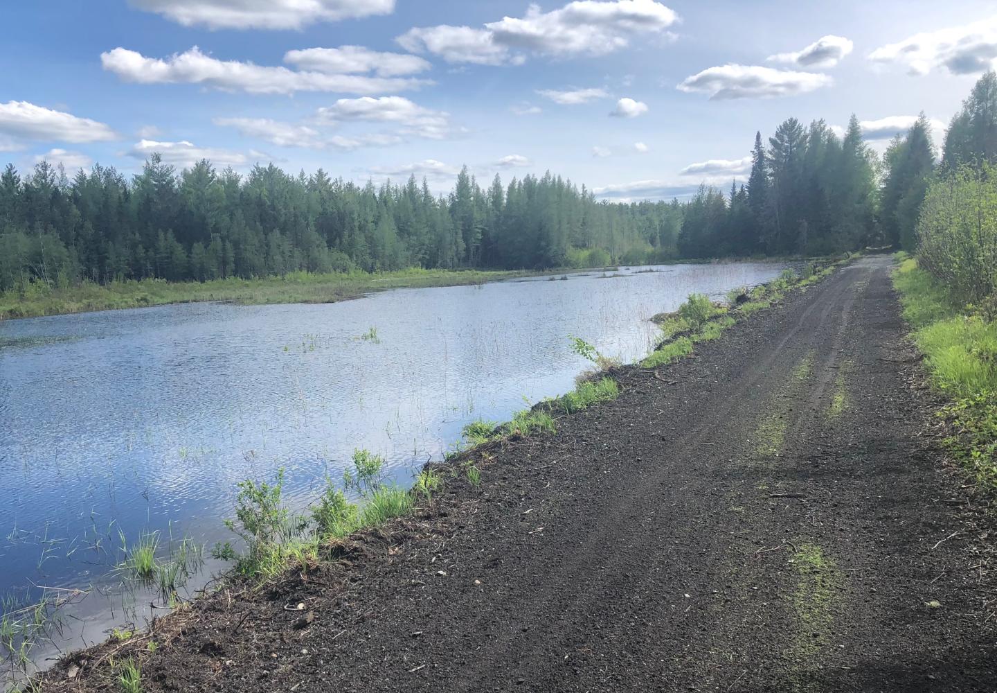 A section of the Rail Trail between Saranac Lake and Lake Clear.