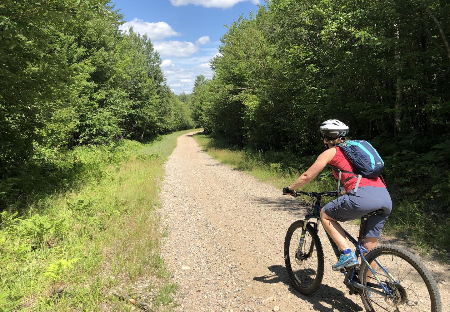 Liberty Road in summer.