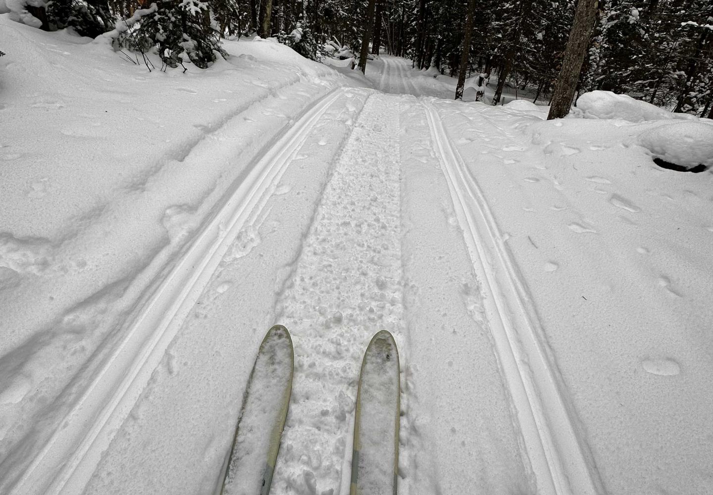 Skiing along the 7B corridor near the Adirondack Rail Trail.