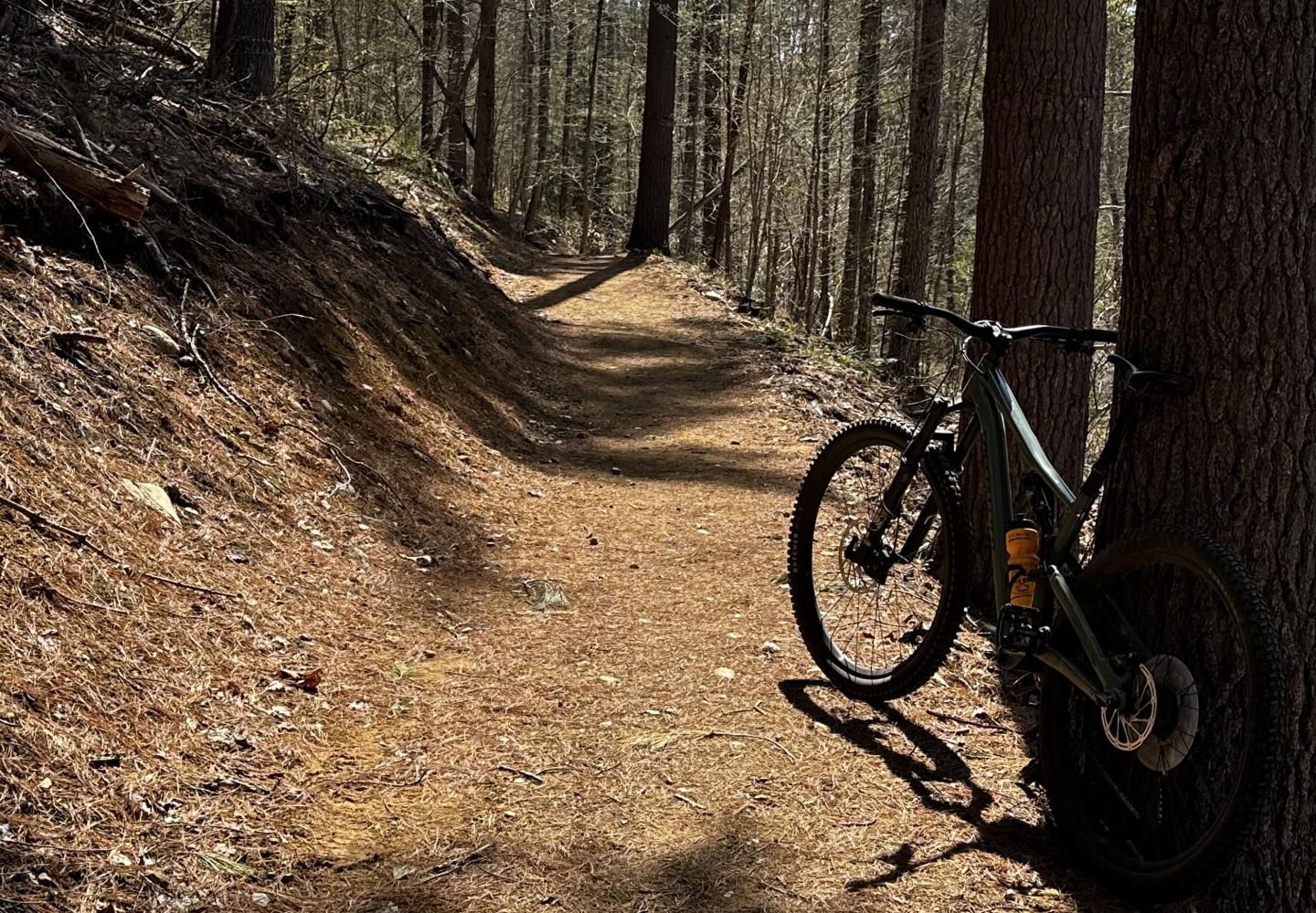 The wide, smooth Leepoff Loop is an ideal trail for novice mountain bikers.