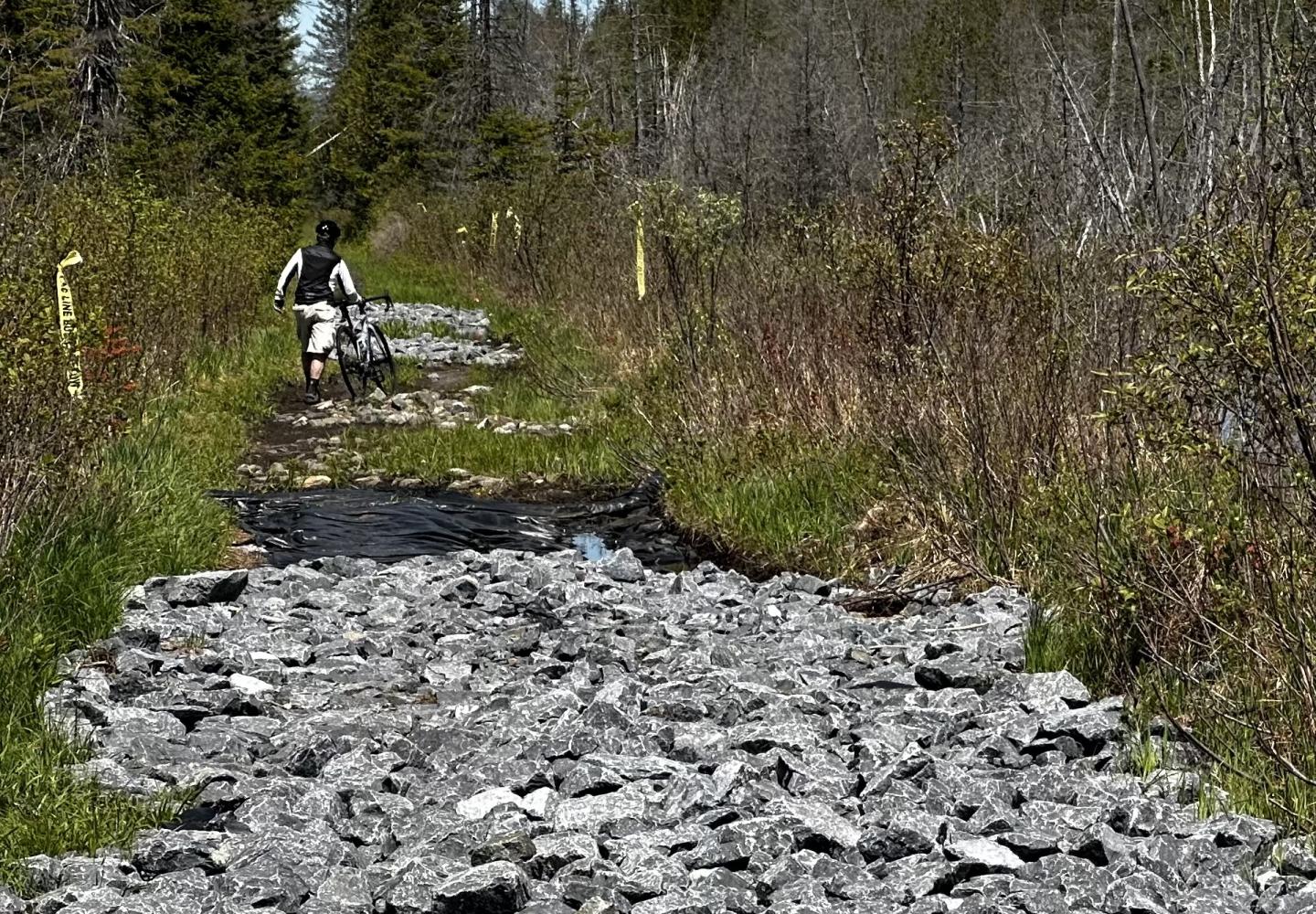 A section of the Bloomingdale Bog Trail has been covered with rocks, making biking difficult, if not impossible. Good news is it's a short section.