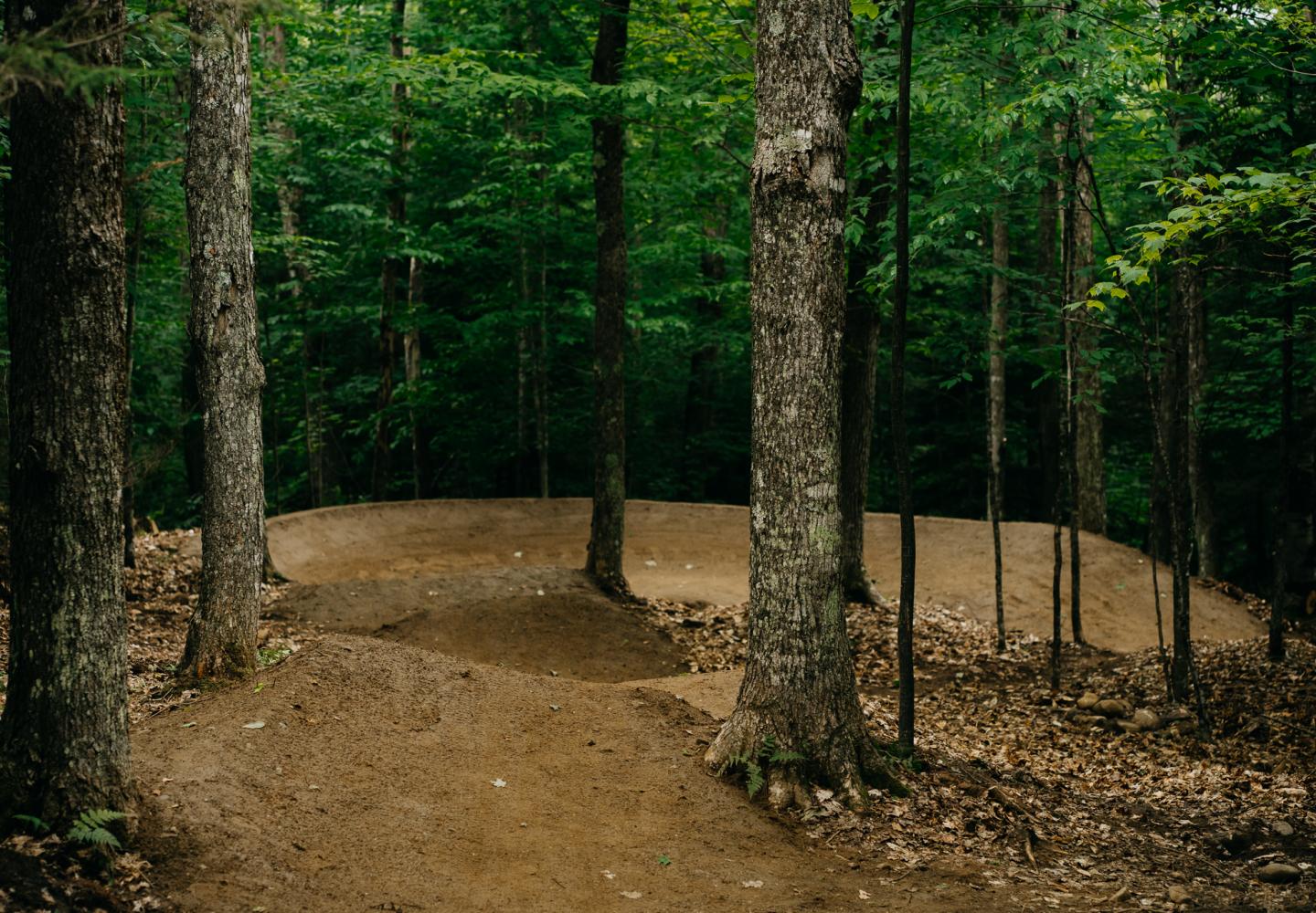 The new Green Jacket flow trail at Craig Wood has some serious banks (Jamie McGiver/BETA)