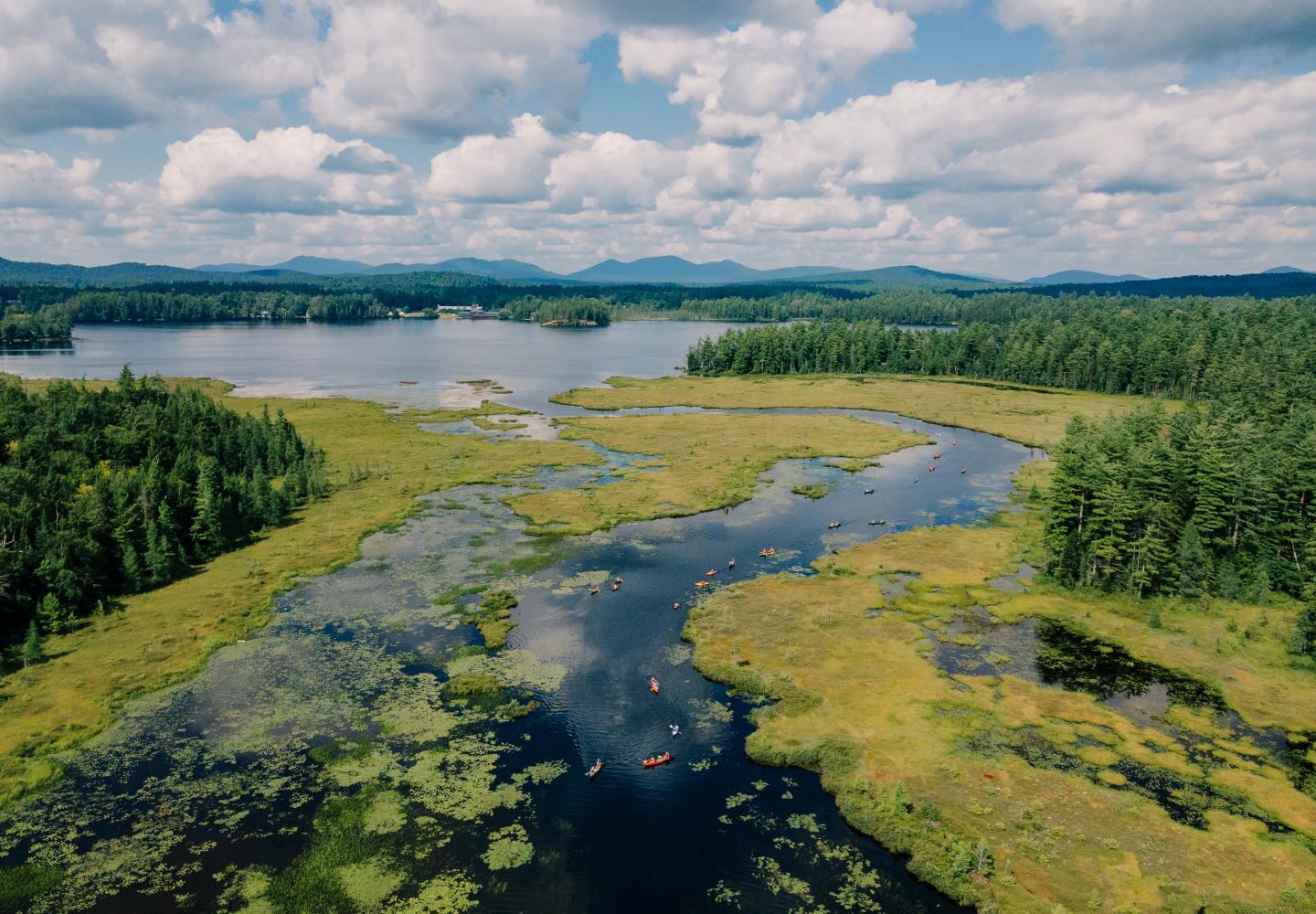 There is so much that surrounds the campus. This is just some of it that you can explore.