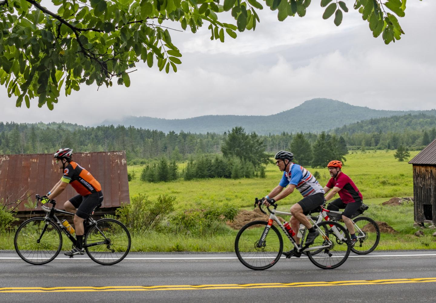 There's something about barns that make a ride better. This one has a few of those too. 