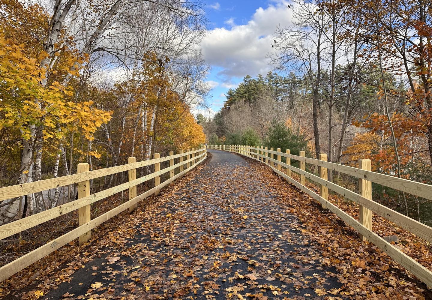 A paved section of the Adirondack Rail Trail through the Village of Saranac Lake.