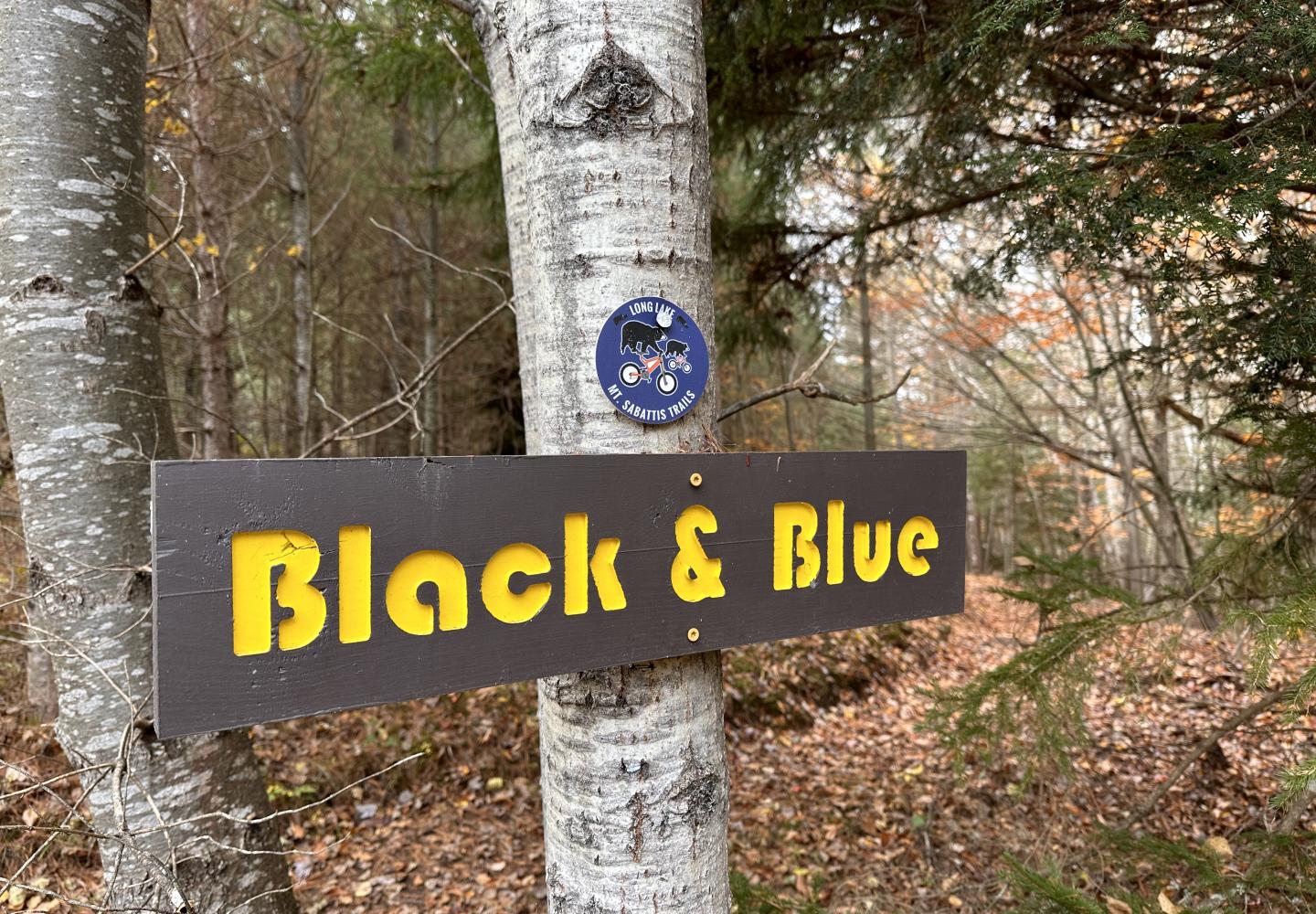 Black and Blue, named after an album by the Rolling Stones, is an intermediate trail used to access Paint It Black, an expert trail. 