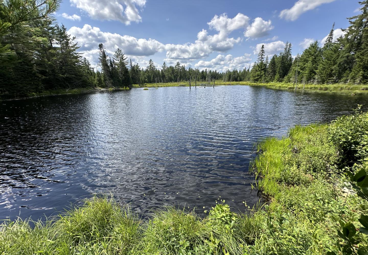 The old D&H rail bed passes an impoundment of Fay Brook.