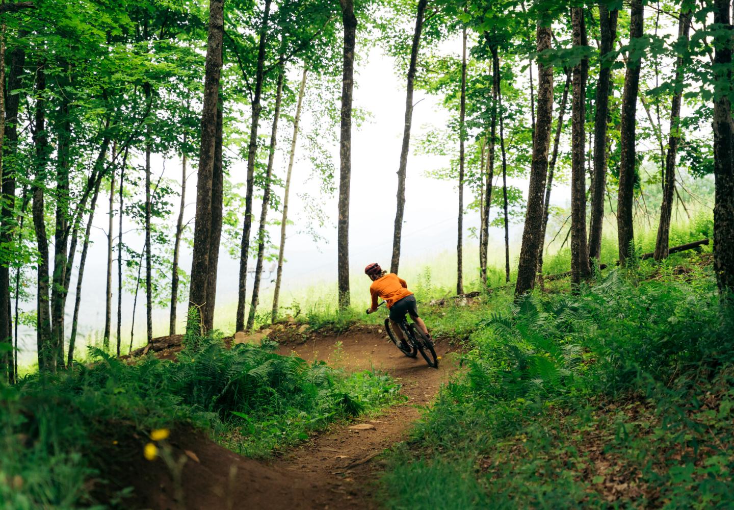 A mountain biker descends The Cure flow trail at Mount Pisgah in Saranac Lake