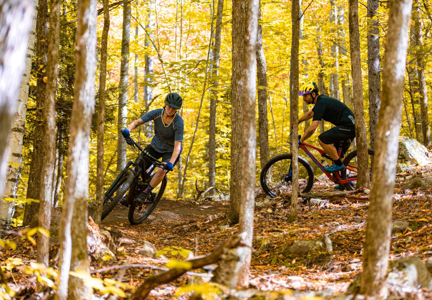 Fall riding at Hardy Road in Wilmington is some of the best in the Adirondacks