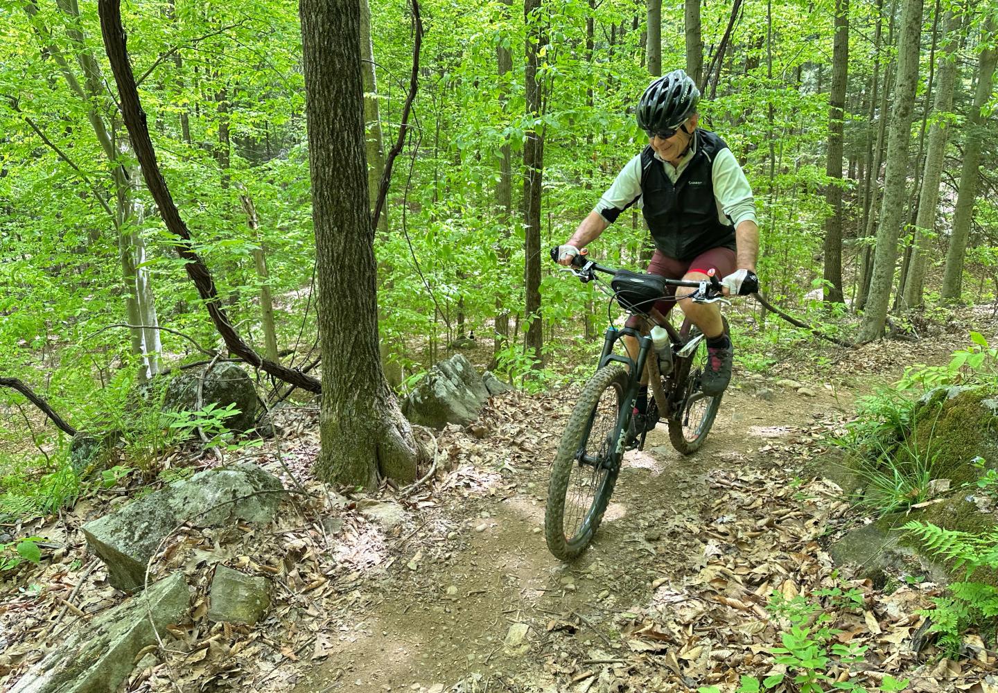 The Graphite Range Community Forest is a lush green in spring and summer.