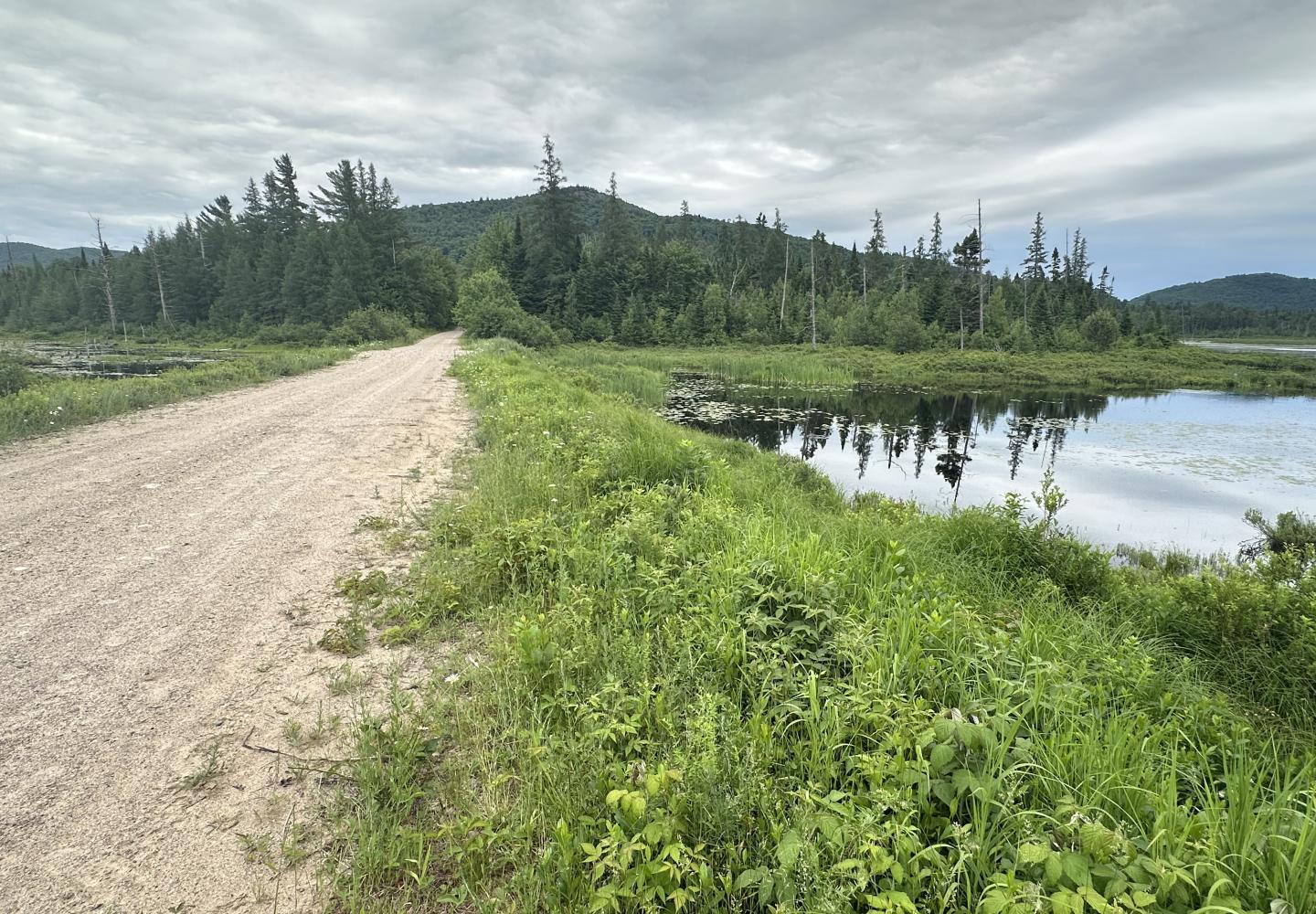 Fishhole Pond with Catamount Mountain in background.