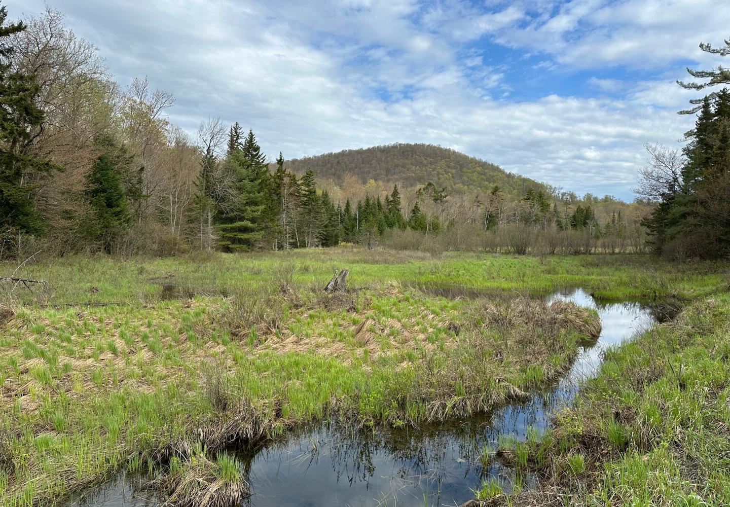 The view of Daniel Mountain