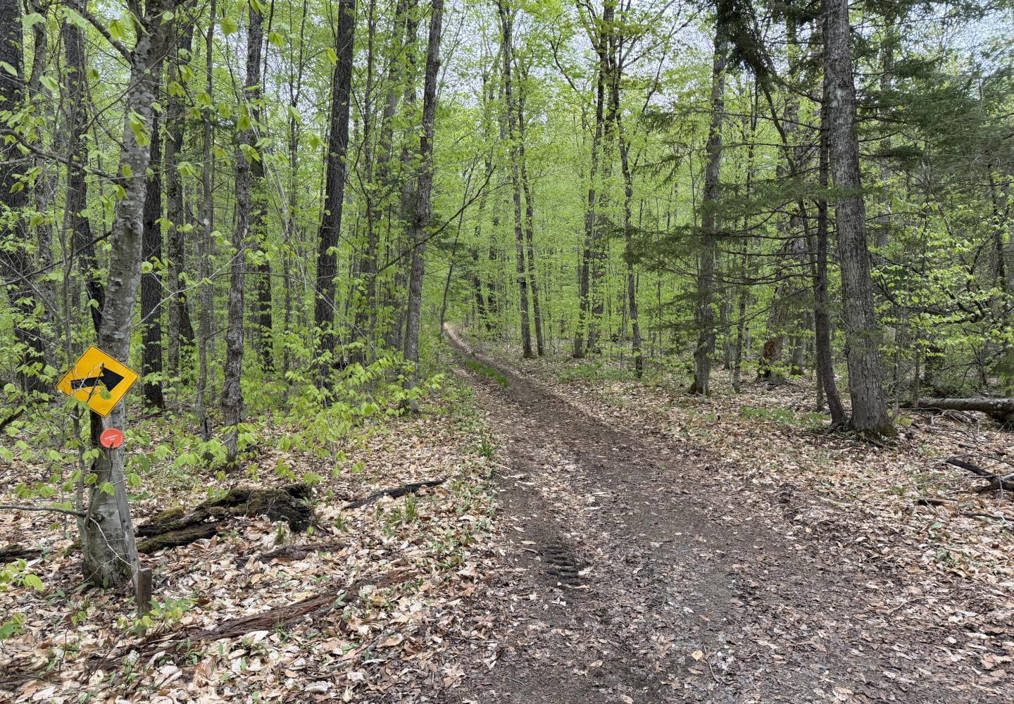 The entrance to the trails at Rat Pond.