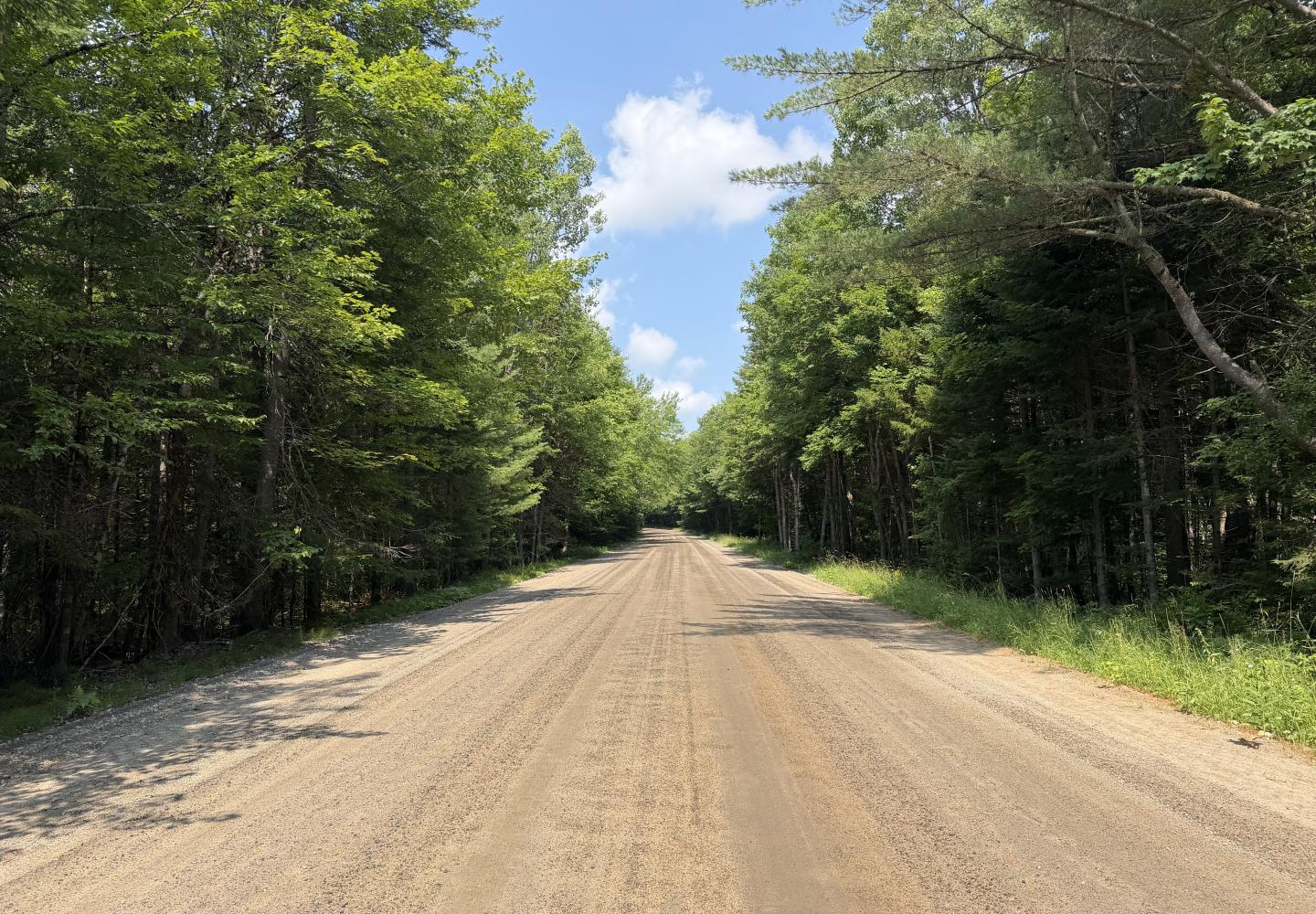 Champagne gravel on the Sabattis Road.
