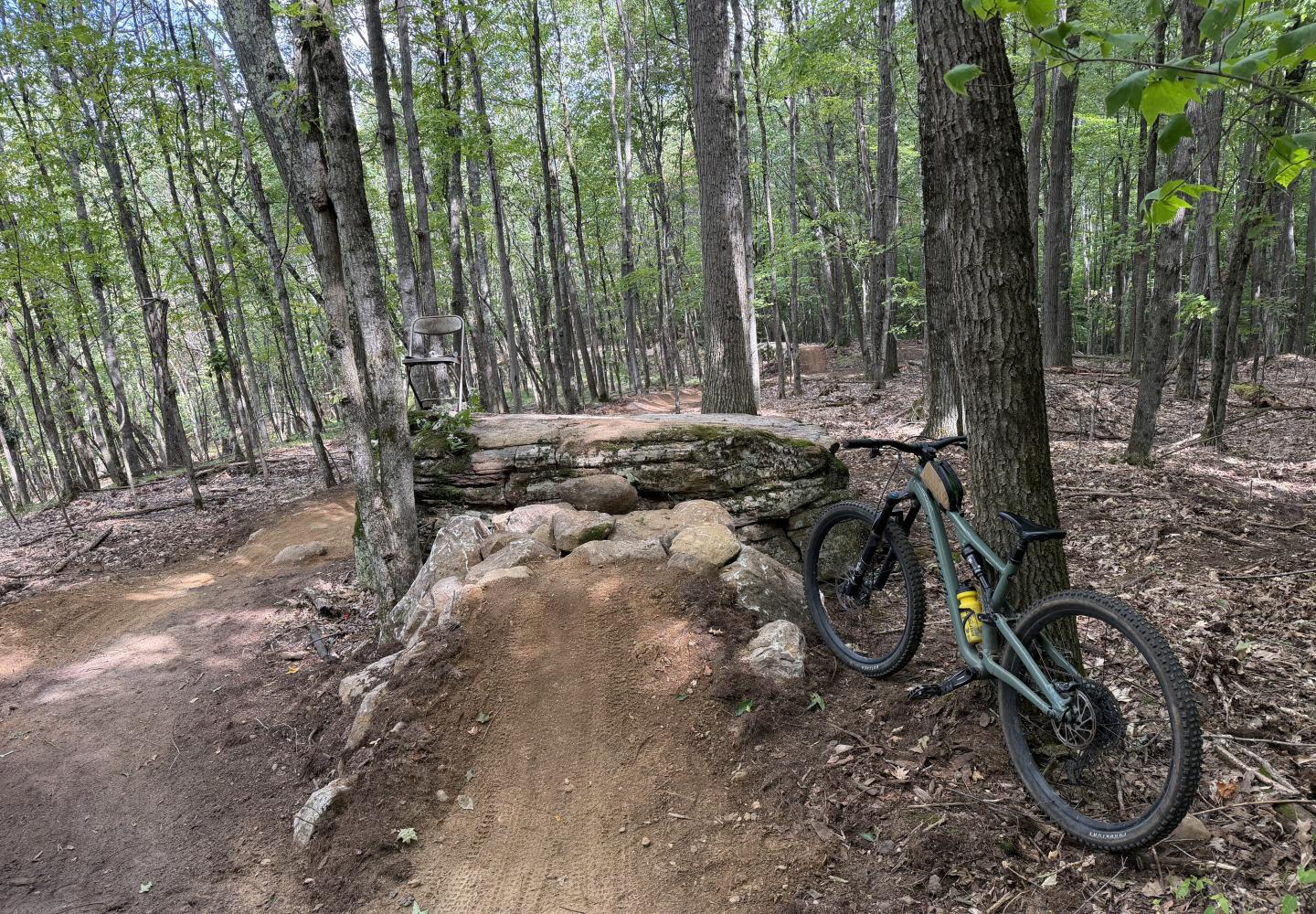 The tree jump on Trail 8 at the East Branch Community Trails in Keene.