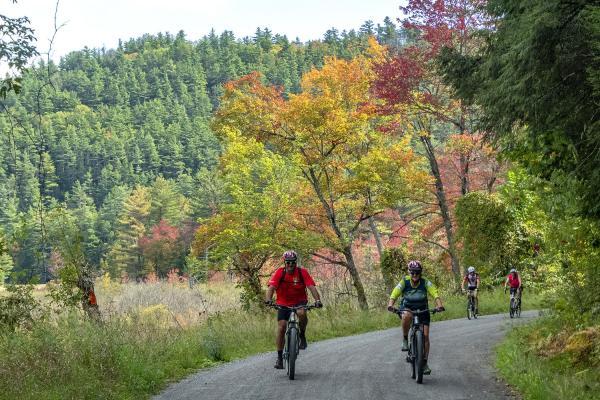 Handlebarley Highlights