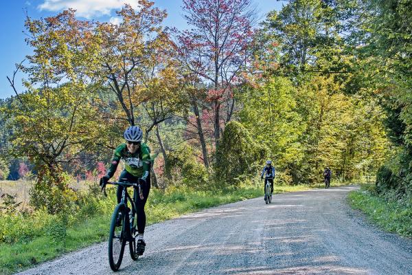 Handlebarley Highlights