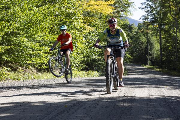 Handlebarley Highlights