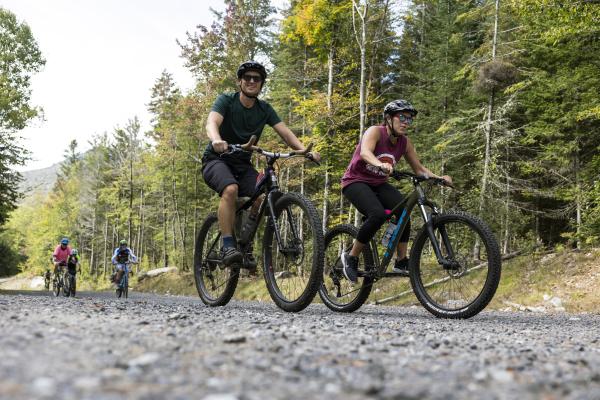 Handlebarley Highlights