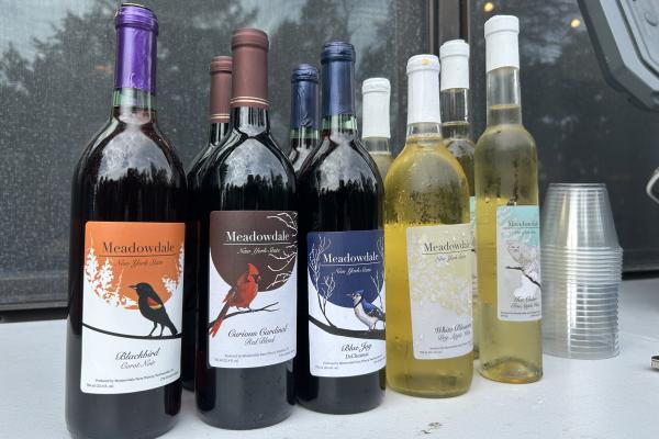 Fall Adirondack Women's Weekend