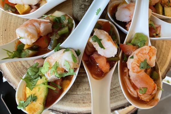 Highlights from the Adirondack Women's Weekend