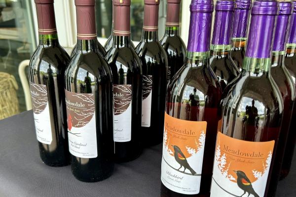 Highlights from the Adirondack Women's Weekend